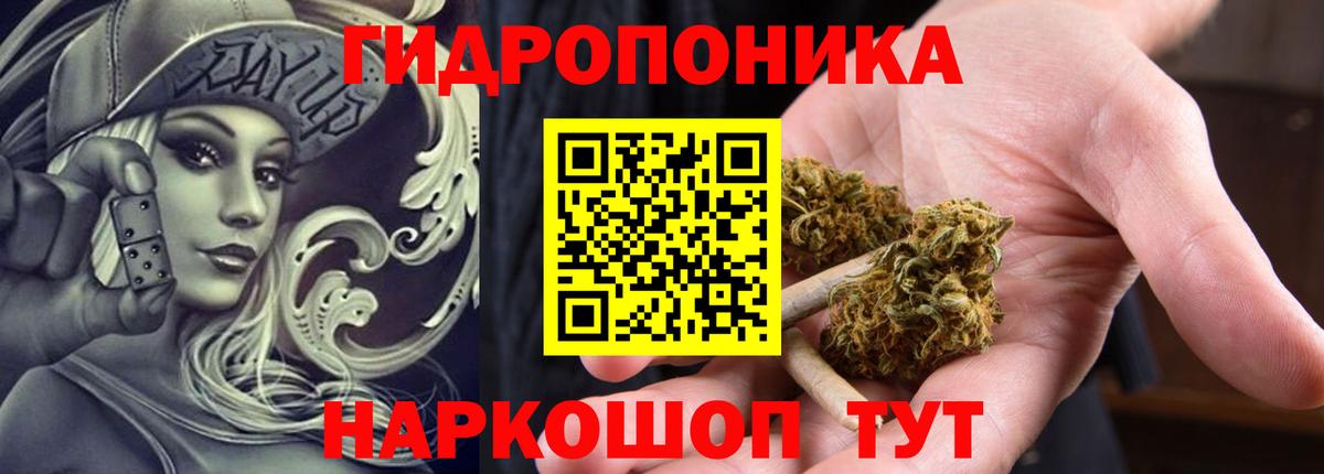 Барнаул  Канабис марихуана  Бошки марихуана Ganja  Вход с VPN  Шишки марихуана Bruce Banner 